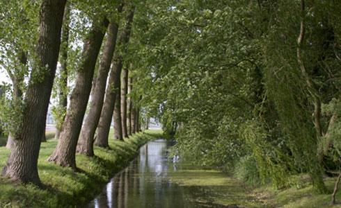 Landhaus Gut Halte Papenburg Bagian luar foto